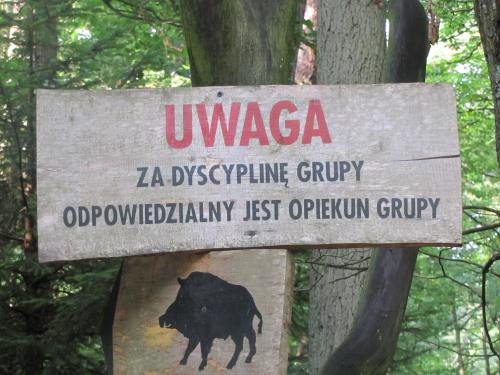 Odpowiedzialny opiekun grupy